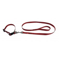 Scoobee Dog Nylon Reflective Collar And Leash Set 0.75 Inch